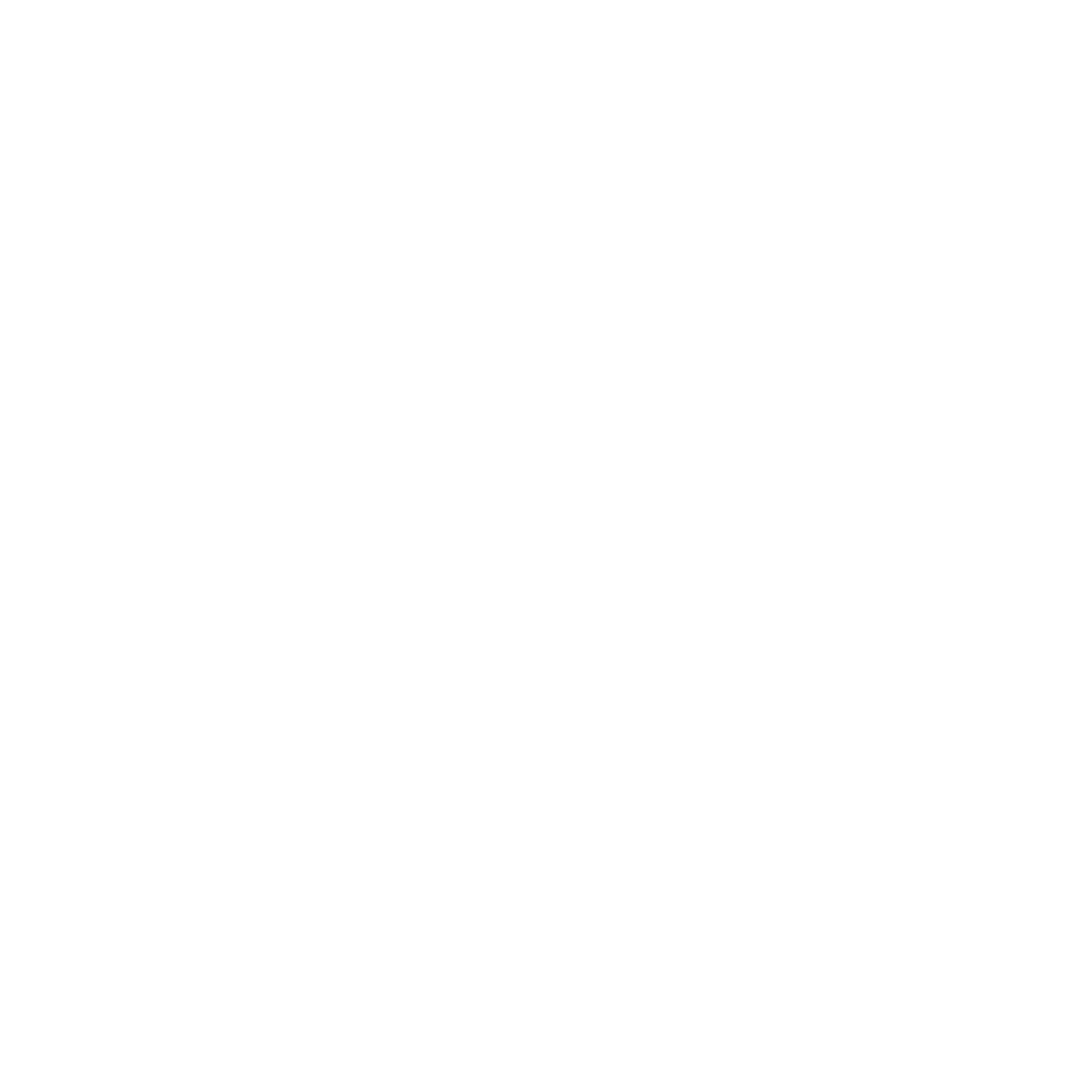pool filter